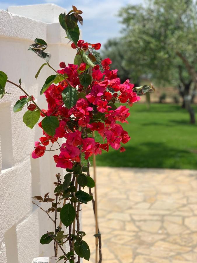 سافيلّيتري L'Ulivo Bed And Breakfast المظهر الخارجي الصورة