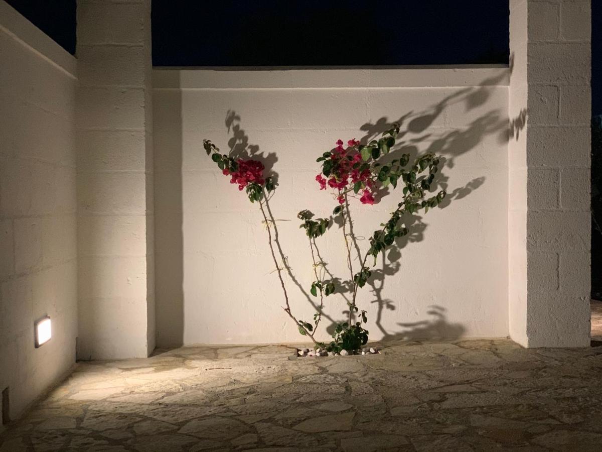 سافيلّيتري L'Ulivo Bed And Breakfast المظهر الخارجي الصورة