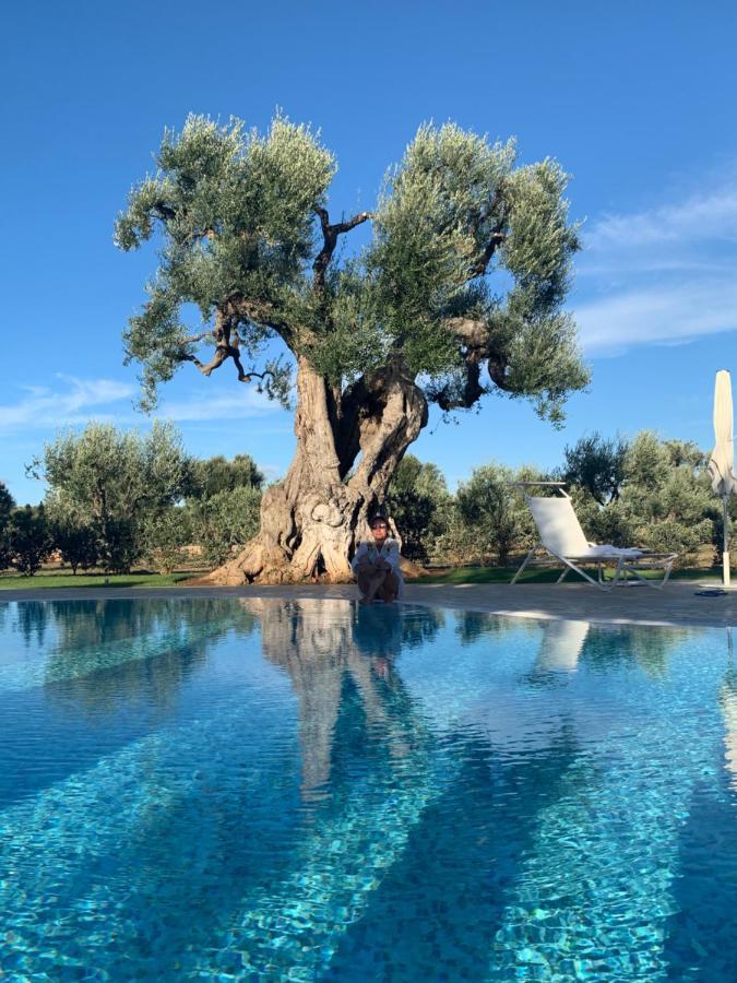 سافيلّيتري L'Ulivo Bed And Breakfast المظهر الخارجي الصورة