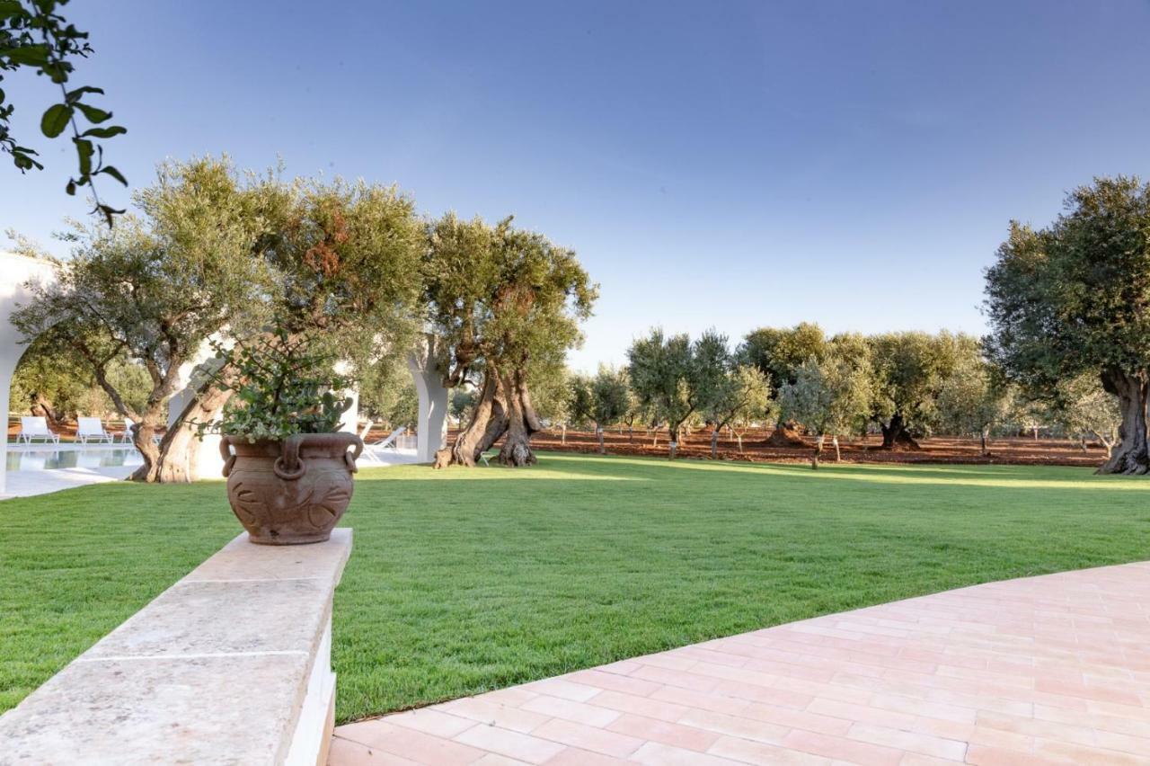 سافيلّيتري L'Ulivo Bed And Breakfast المظهر الخارجي الصورة