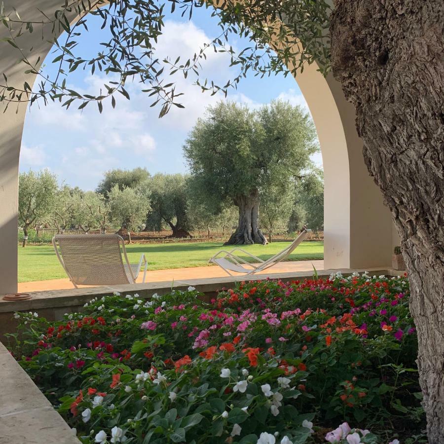 سافيلّيتري L'Ulivo Bed And Breakfast المظهر الخارجي الصورة